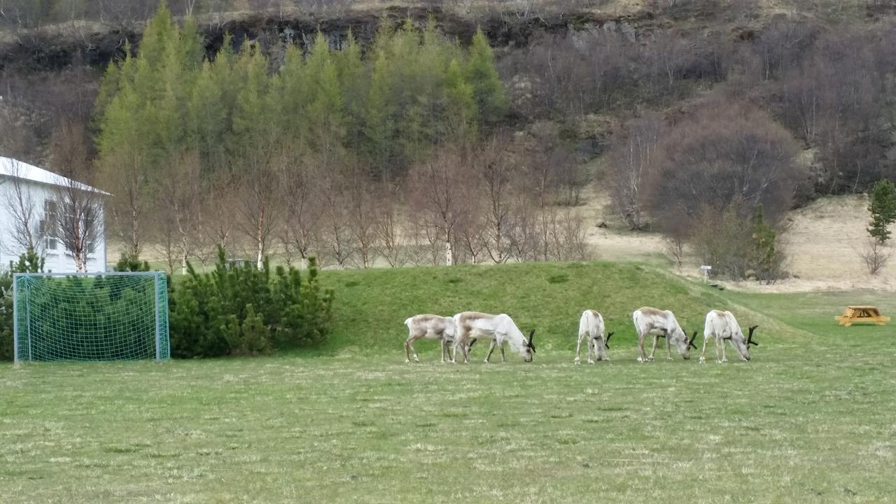 Hengifoss Guesthouse Valpjofsstathur Luaran gambar